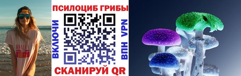 mega ССЫЛКА закладки Кондопога Галлюциногенные грибы MAGIC MUSHROOMS